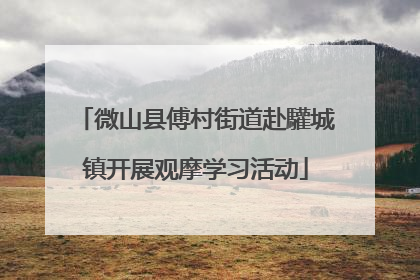 微山县傅村街道赴驩城镇开展观摩学习活动