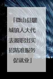 微山县驩城镇人大代表履职出实招精准服务促就业