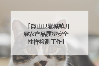 微山县驩城镇开展农产品质量安全抽样检测工作