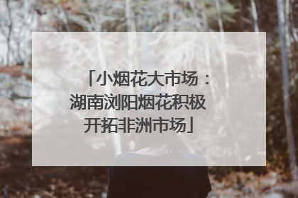 小烟花大市场：湖南浏阳烟花积极开拓非洲市场
