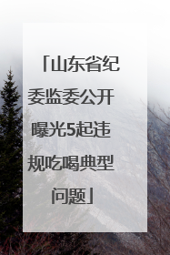 山东省纪委监委公开曝光5起违规吃喝典型问题