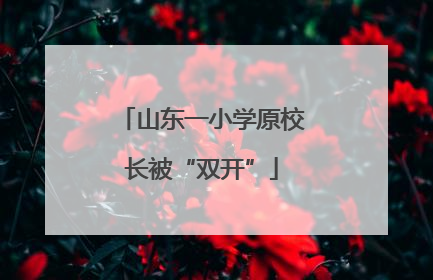 山东一小学原校长被“双开”