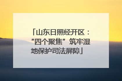 山东日照经开区：“四个聚焦”筑牢湿地保护司法屏障