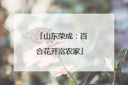 山东荣成：百合花开富农家