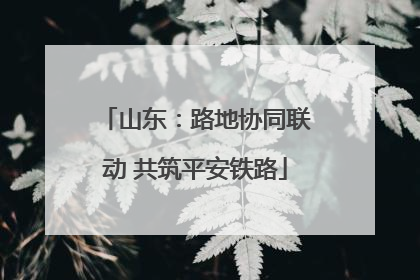 山东：路地协同联动 共筑平安铁路