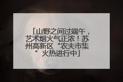 山野之间过端午，艺术烟火气正浓！苏州高新区“农夫市集”火热进行中