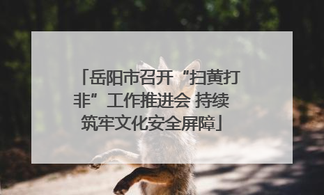 岳阳市召开“扫黄打非”工作推进会 持续筑牢文化安全屏障