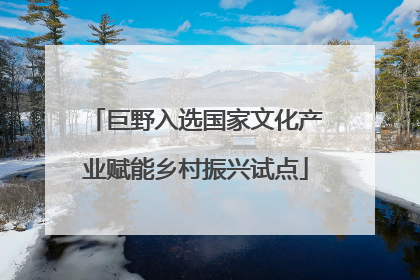 巨野入选国家文化产业赋能乡村振兴试点