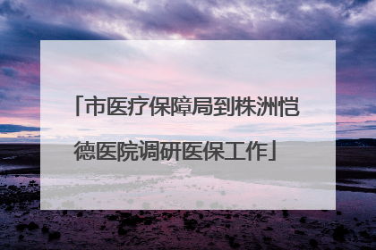 市医疗保障局到株洲恺德医院调研医保工作