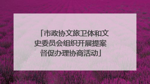 市政协文旅卫体和文史委员会组织开展提案督促办理协商活动