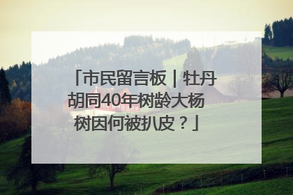 市民留言板｜牡丹胡同40年树龄大杨树因何被扒皮？