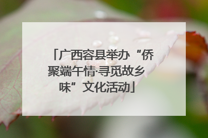 广西容县举办“侨聚端午情·寻觅故乡味”文化活动
