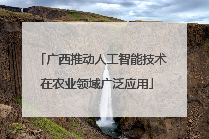 广西推动人工智能技术在农业领域广泛应用