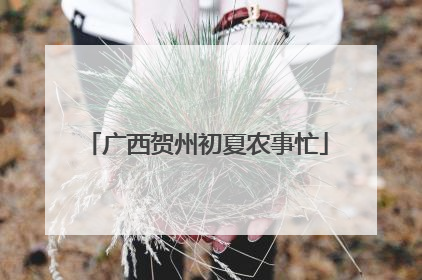 广西贺州初夏农事忙