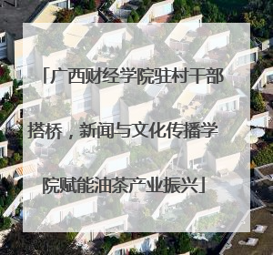 广西财经学院驻村干部搭桥，新闻与文化传播学院赋能油茶产业振兴