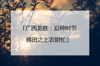 广西龙胜：夏种时节 梯田之上农耕忙