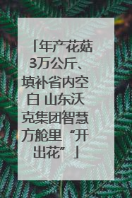 年产花菇3万公斤、填补省内空白 山东沃克集团智慧方舱里“开出花”
