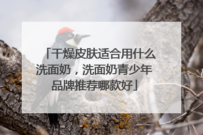 干燥皮肤适合用什么洗面奶，洗面奶青少年品牌推荐哪款好