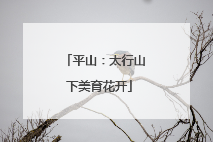平山：太行山下美育花开