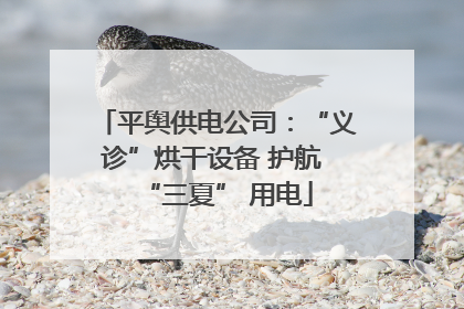 平舆供电公司：“义诊”烘干设备 护航 “三夏” 用电