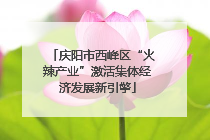 庆阳市西峰区“火辣产业”激活集体经济发展新引擎