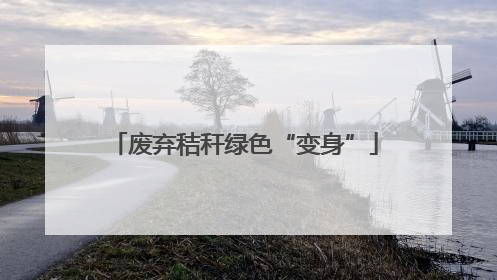 废弃秸秆绿色“变身”
