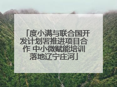 度小满与联合国开发计划署推进项目合作 中小微赋能培训落地辽宁庄河