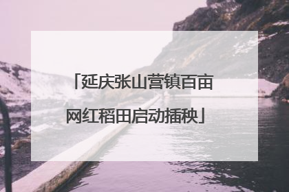 延庆张山营镇百亩网红稻田启动插秧