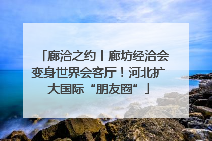 廊洽之约丨廊坊经洽会变身世界会客厅！河北扩大国际“朋友圈”
