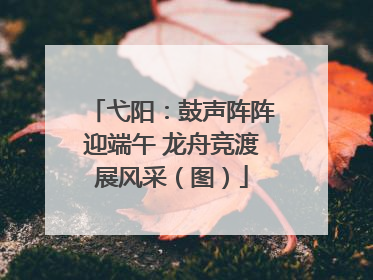 弋阳：鼓声阵阵迎端午 龙舟竞渡展风采（图）