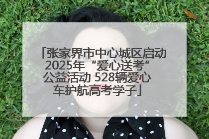 张家界市中心城区启动2025年“爱心送考”公益活动 528辆爱心车护航高考学子