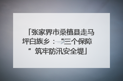 张家界市桑植县走马坪白族乡：“三个保障”筑牢防汛安全堤
