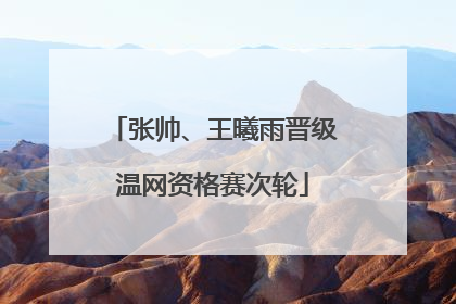 张帅、王曦雨晋级温网资格赛次轮