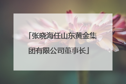 张晓海任山东黄金集团有限公司董事长