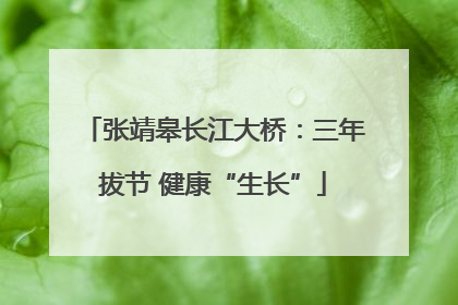 张靖皋长江大桥：三年拔节 健康“生长”