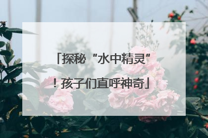 探秘“水中精灵”！孩子们直呼神奇