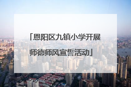 恩阳区九镇小学开展师德师风宣誓活动