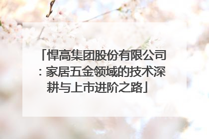 悍高集团股份有限公司：家居五金领域的技术深耕与上市进阶之路