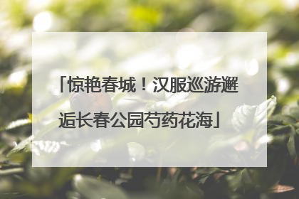 惊艳春城！汉服巡游邂逅长春公园芍药花海