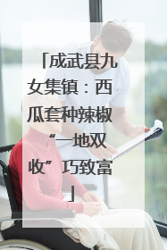 成武县九女集镇：西瓜套种辣椒 “一地双收”巧致富