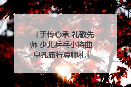 手传心承 礼敬先师 少儿乒乓小将曲阜孔庙行尊师礼
