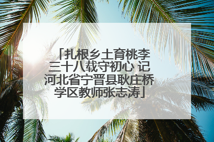 扎根乡土育桃李 三十八载守初心 记河北省宁晋县耿庄桥学区教师张志涛