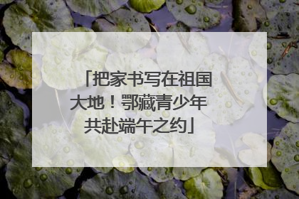把家书写在祖国大地！鄂藏青少年共赴端午之约
