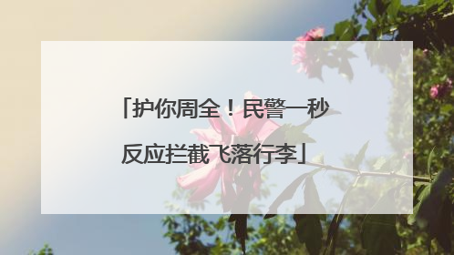 护你周全！民警一秒反应拦截飞落行李