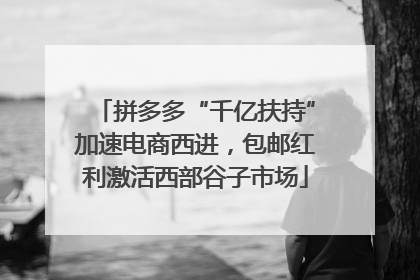 拼多多“千亿扶持”加速电商西进，包邮红利激活西部谷子市场