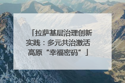 拉萨基层治理创新实践：多元共治激活高原“幸福密码”