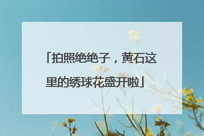拍照绝绝子，黄石这里的绣球花盛开啦