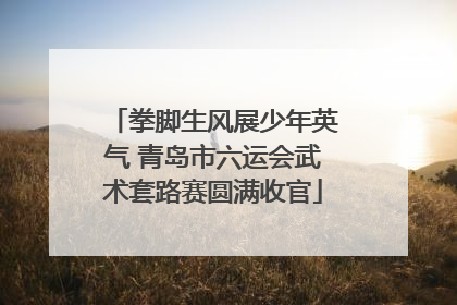 拳脚生风展少年英气 青岛市六运会武术套路赛圆满收官