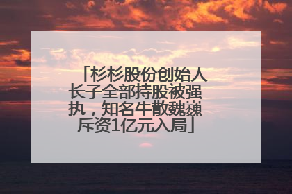 杉杉股份创始人长子全部持股被强执，知名牛散魏巍斥资1亿元入局