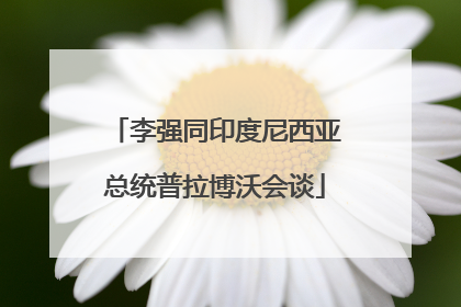 李强同印度尼西亚总统普拉博沃会谈